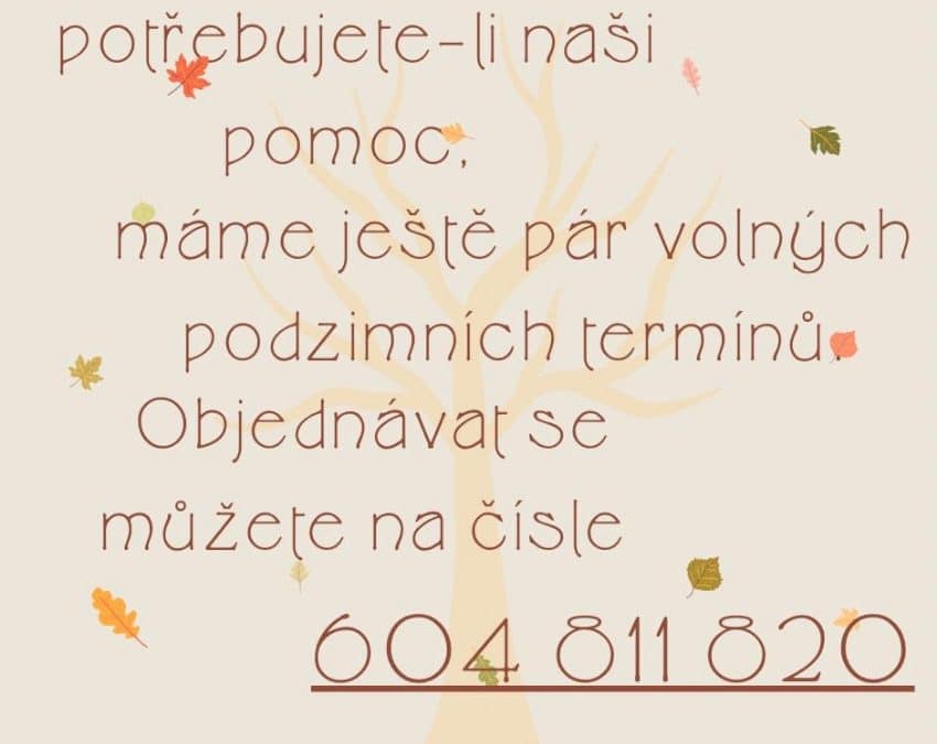 Psychiatrie Ametyst – Potřebujete naší pomoc